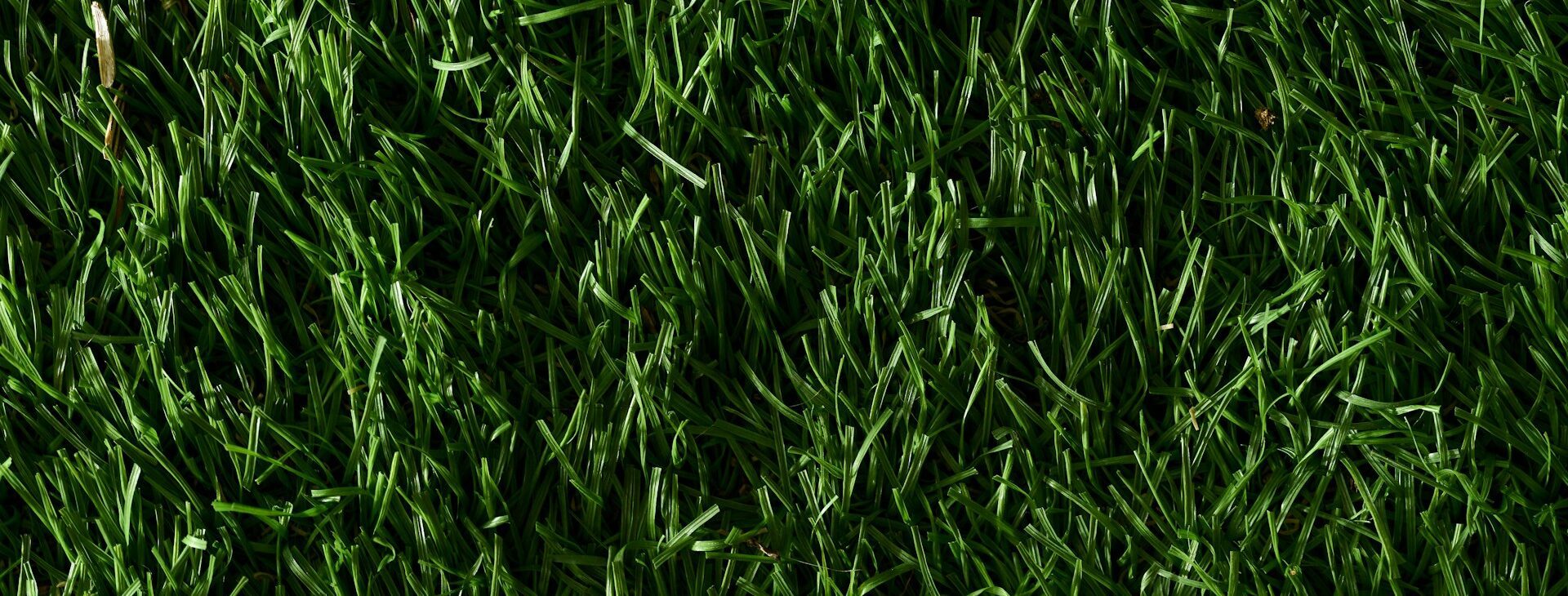 Professional landscape care you can trust.